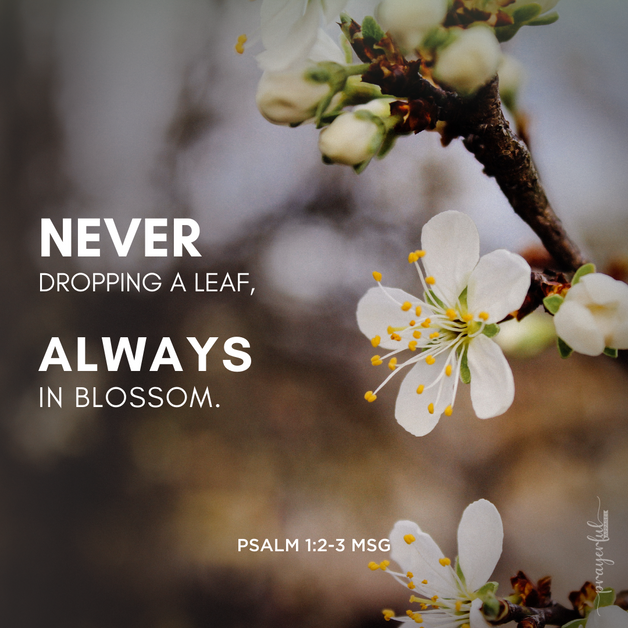 Psalm 1:2-3 Digital Download – Prayerful Apparel