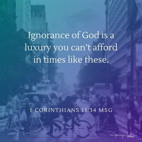 1 Corinthians 15:34 Digital Download