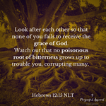 Hebrews 12:15 Digital Download
